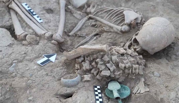 В Казахстані знайшли поховання дівчинки з 180 кістками овець: їх призначення вразило навіть науковців, фото