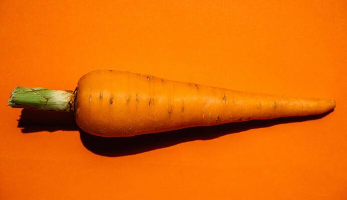 Як зберігати моркву, коли немає погреба: перевірені методи