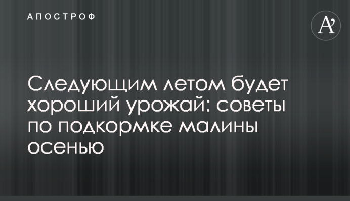 Наступного літа буде добрий врожай: поради з підживлення малини восени
