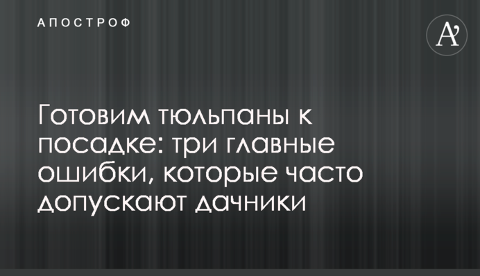 Готовим тюльпаны к посадке: три главные ошибки, которые часто допускают дачники