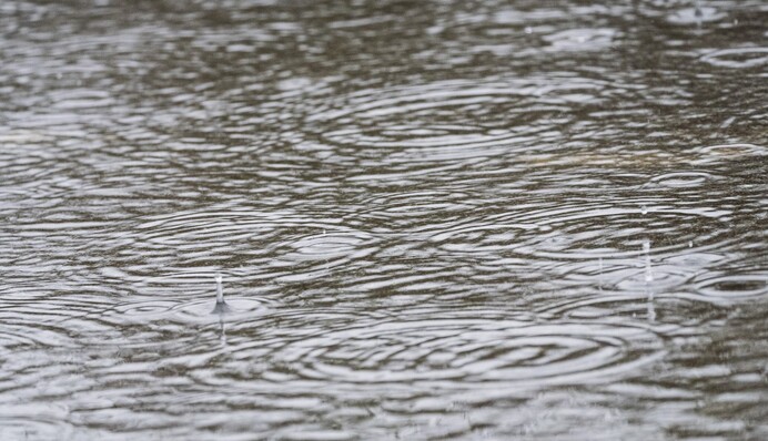Машины уже плывут: в Киеве среди осени летняя гроза затопила улицы, видео
