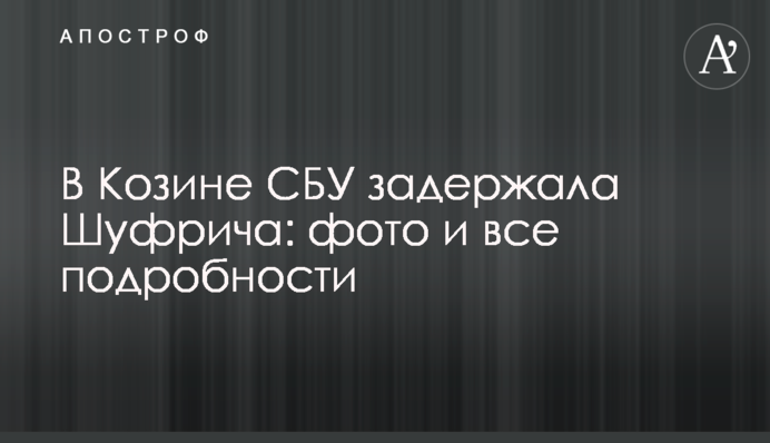 СБУ задержала Шуфрича в роскошном имении: фото и все подробности