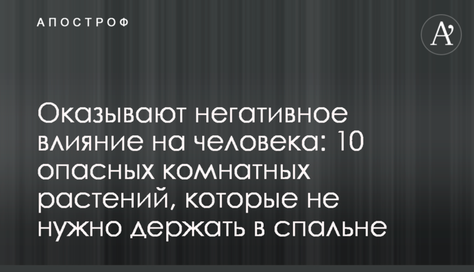 Негативно впливають на людину: 10 небезпечних кімнатних рослин, які не треба тримати в спальні