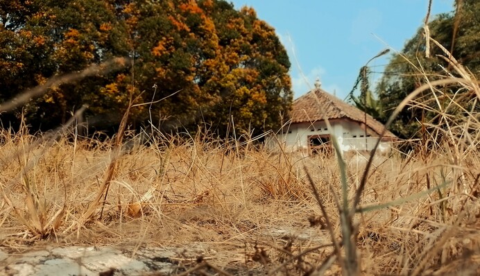 Осень еще в пути: прогноз синоптика на новую неделю