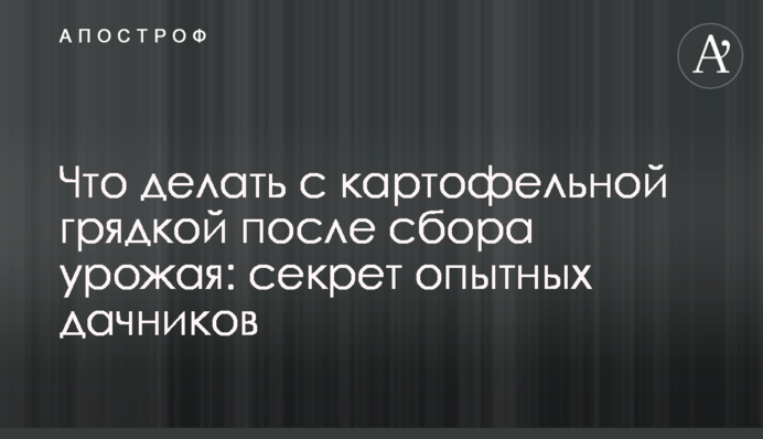 Що робити з картопляною грядкою після збору врожаю: секрет досвідчених дачників