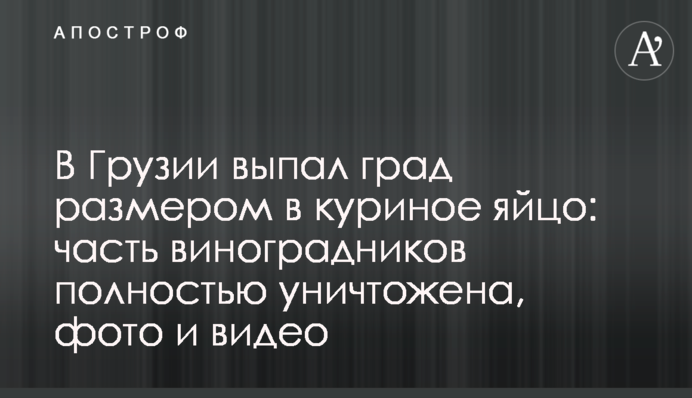 В Грузии выпал град размером в куриное яйцо: часть виноградников полностью уничтожена, фото и видео