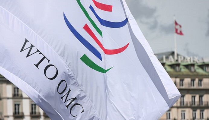 Украина подала иски в ВТО против Польши, Венгрии и Словакии: что известно