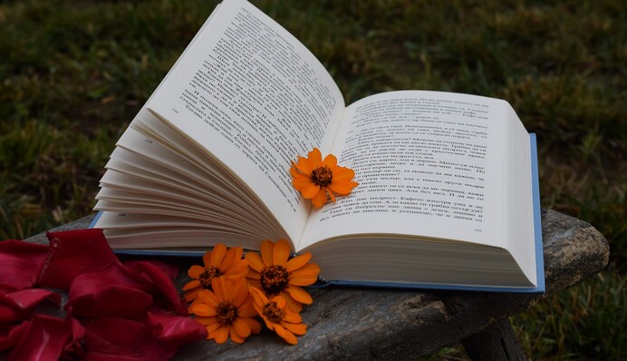 Не тащите в украинский язык русские фразы: как правильно сказать 