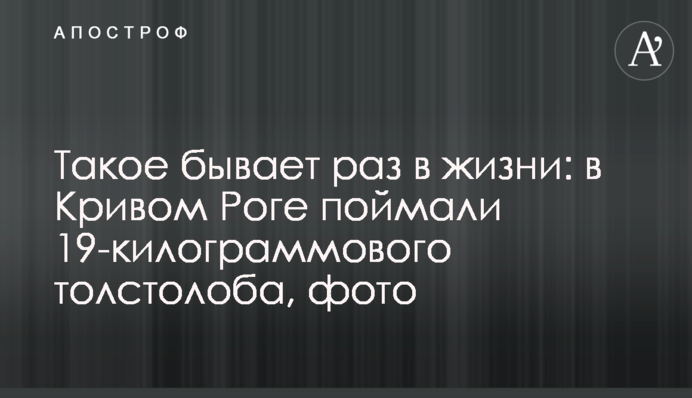 Таке буває раз у житті: у Кривому Розі спіймали 19-кілограмового товстолоба, фото