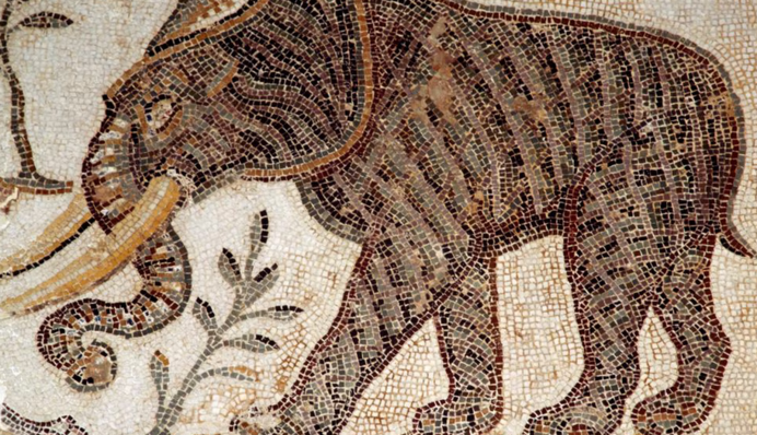 Міг битися за Ганнібала чи Цезаря: археологи знайшли останки бойового слона, фото