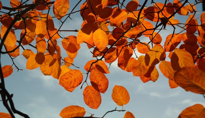 Самые лучшие открытки ко Дню осеннего равноденствия