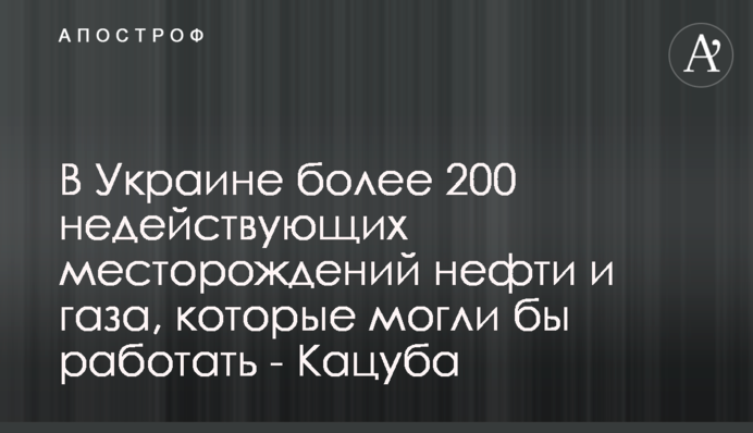 В Україні більше 200 недіючих родових нафти і газу, які б могли працювати - Кацуба