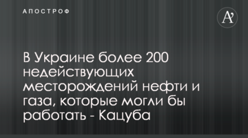 В Україні більше 200 недіючих родових нафти і газу, які б могли працювати - Кацуба