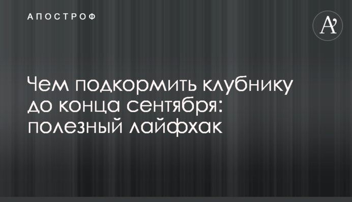 Чим підживити полуницю до кінця вересня: корисний лайфхак