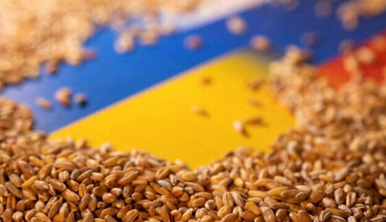 Зерно розбрату: Польща запровадить транзитні коридори для української продукції