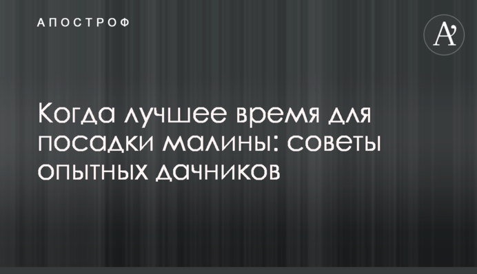 Когда лучшее время для посадки малины: советы опытных дачников
