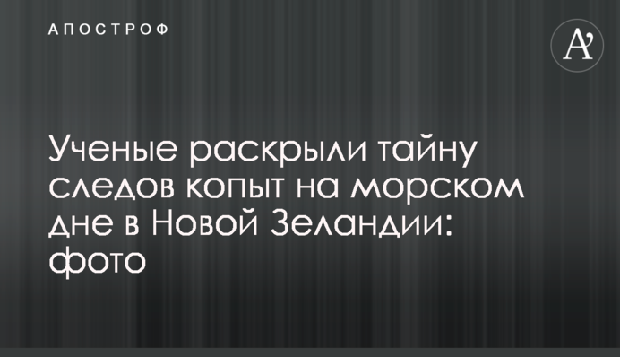 Вчені розкрили таємницю слідів копит на морському дні в Новій Зеландії: фото