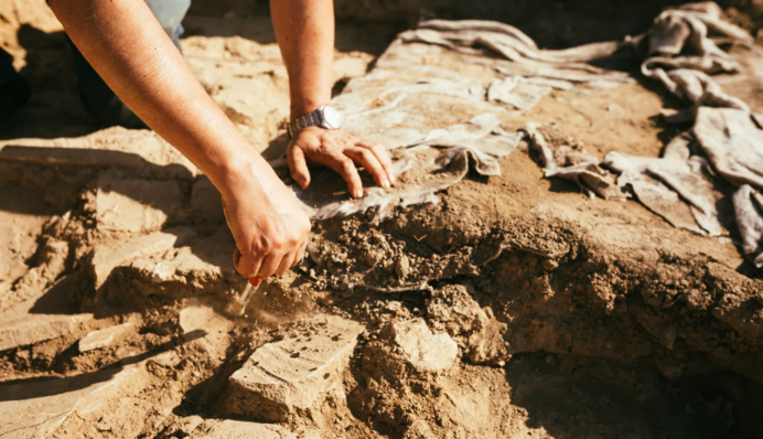 В США женщина случайно нашла кости динозавра, который был предком Лохнесского чудовища: видео