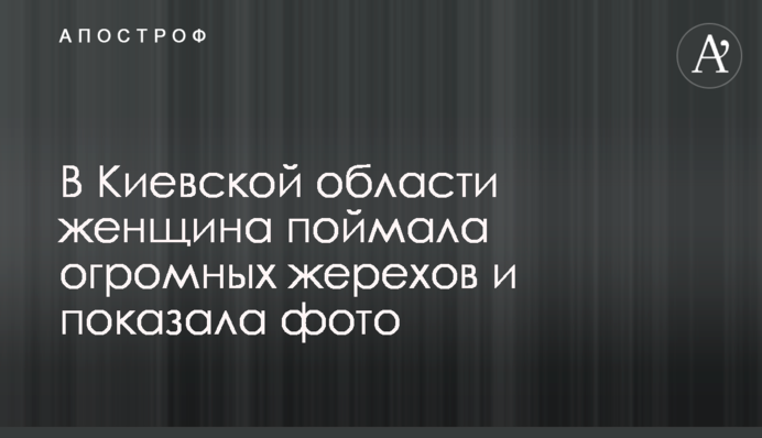 На Київщині жінка спіймала величезних жерехів і показала фото