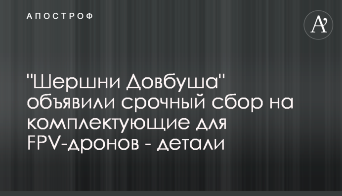 "Шершні Довбуша" оголосили терміновий збір на комплектуючі для FPV-дронів - деталі