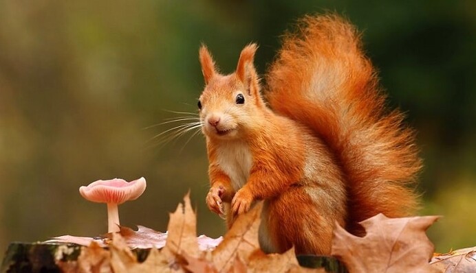 Багато сонця і трішки дощів: прогноз погоди в Україні до 1 жовтня