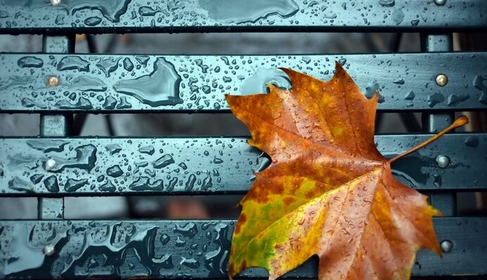 В Україні останні дні бабиного літа: названо дату похолодання