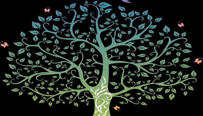 Третє за поширеністю прізвище в Україні: звідки походить і кількість представників