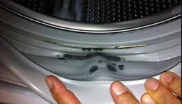 Пліснява не матиме шансів: чотири  прості кроки, щоб тримати пральну машину у чистоті