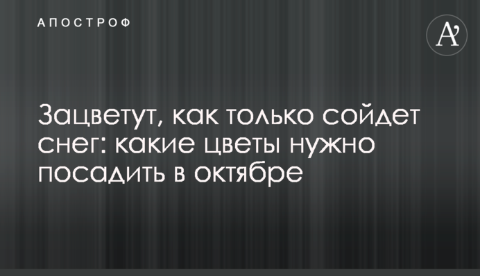 Зацвітуть, як тільки зійде сніг: які квіти треба посадити в жовтні