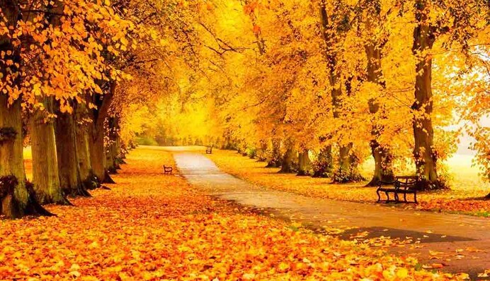 Атмосферный фронт принесет в Украину нетипичную погоду: синоптик удивила прогнозом