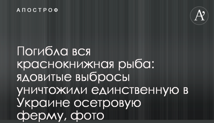 Загинула вся червонокнижна риба: отруйні викиди знищили єдину в Україні осетрову ферму, фото