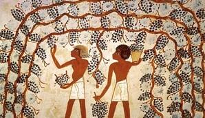 В гробниці єгипетської цариці знайшли глеки з вином, якому понад 5 тисяч років: фото