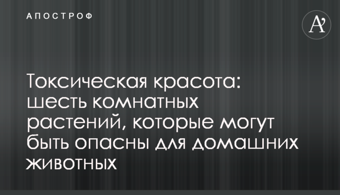 Токсична краса: шість кімнатних рослин, які можуть бути небезпечними для домашніх тварин