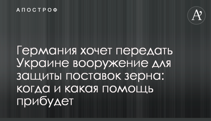 Німеччина хоче передати Україні озброєння для захисту поставок зерна: коли і яка допомога прибуде