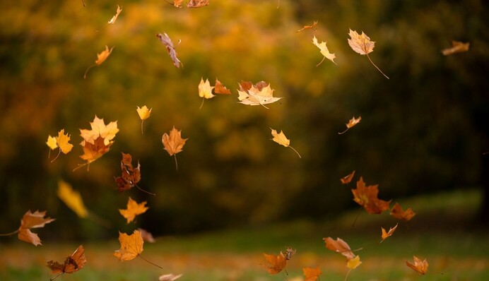 Будуть дуже строкатими: синоптик озвучила прогноз погоди на 7 і 8 жовтня