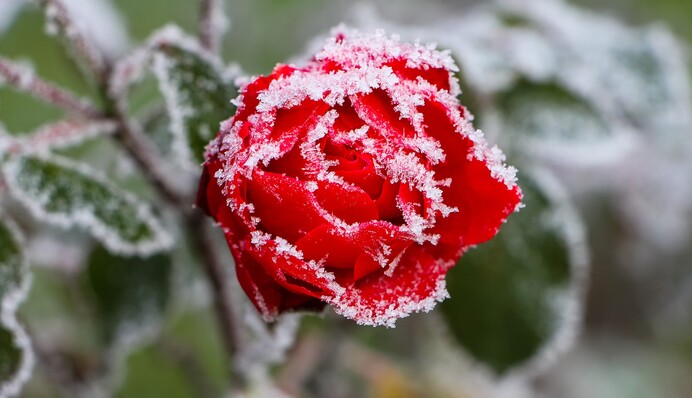 В Україну йдуть перші морози: карта погоди на 11 жовтня