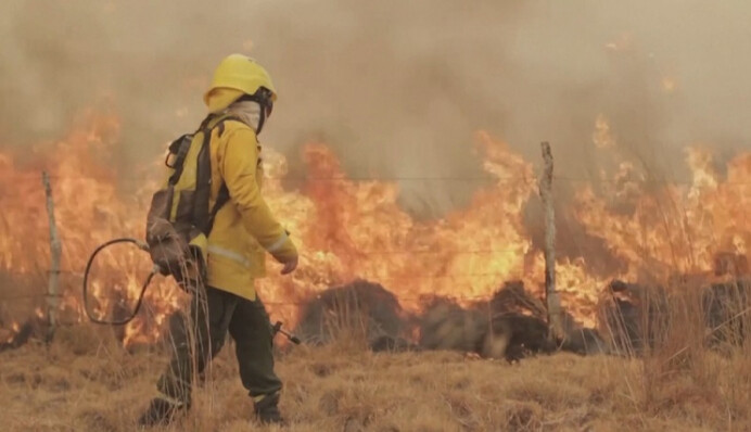 Все началось с кофе: Аргентину охватили массовые лесные пожары, видео