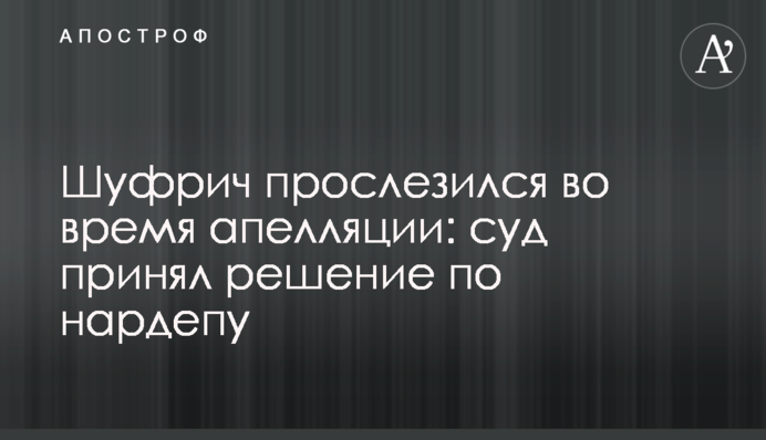 Шуфрич просльозився під час апеляції: суд ухвалив рішення щодо нардепа
