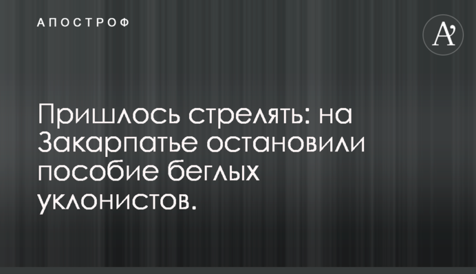Довелось стріляти: на Закарпатті зупинили посібника ухилянтів-втікачів