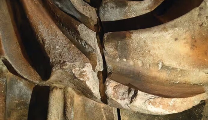 Ученые раскрыли удивительную тайну статуй Парфенона: фото и все детали