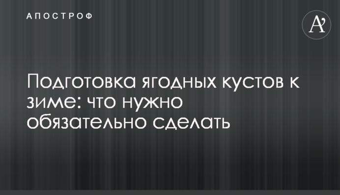 Подготовка ягодных кустов к зиме: что нужно обязательно сделать