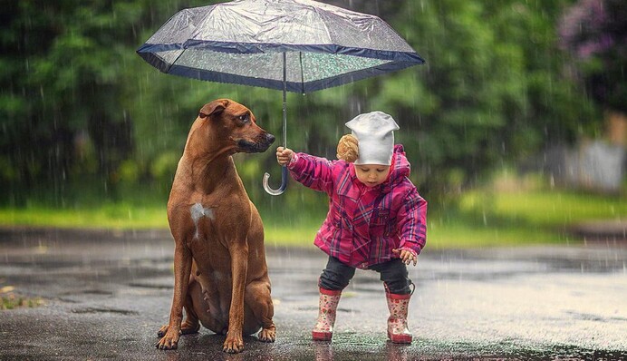 Очень редко говорят 