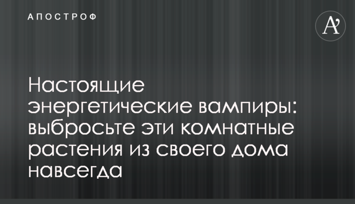 Настоящие энергетические вампиры: выбросьте эти комнатные растения из своего дома навсегда