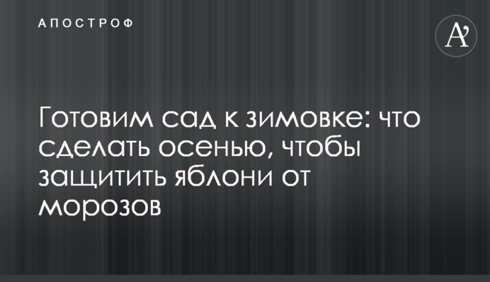 Готовим сад к зимовке: что сделать осенью, чтобы защитить яблони от морозов