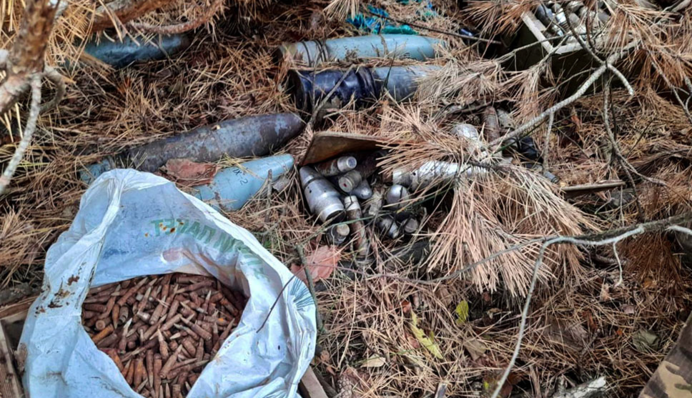 На Житомирщині грибник в лісі натрапив на небезпечну знахідку: фото