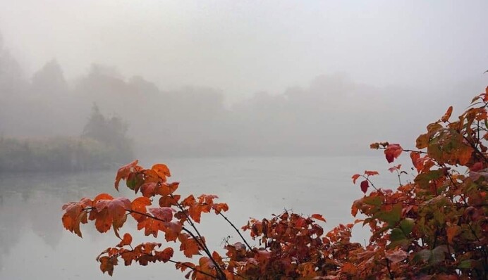 Туман на тлі сирен: яскраві осінні фото і відео з українських міст