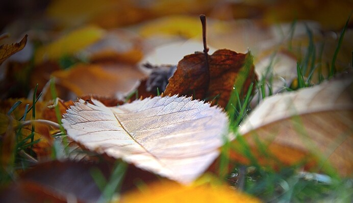 Україну накриють дощі з грозами: прогноз синоптика до кінця жовтня