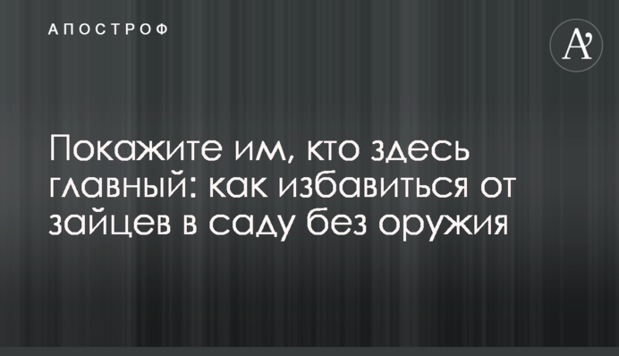 Покажіть їм, хто тут головний: як позбутися зайців в саду без зброї