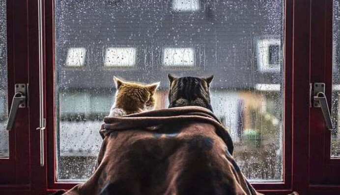 Класична осіння погода: в Україну йде циклон з дощами і штормовим вітром