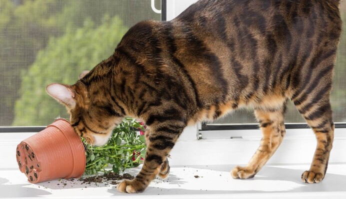 Вечные источники проблем: четыре знака Зодиака притягивают неприятности к себе и близким